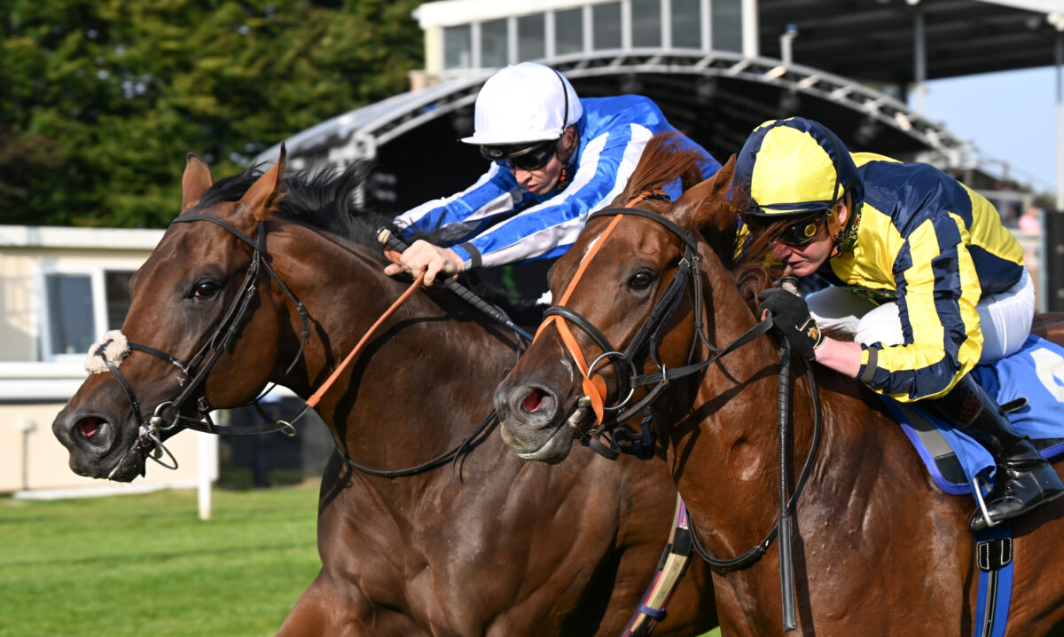 salisbury races August 2024